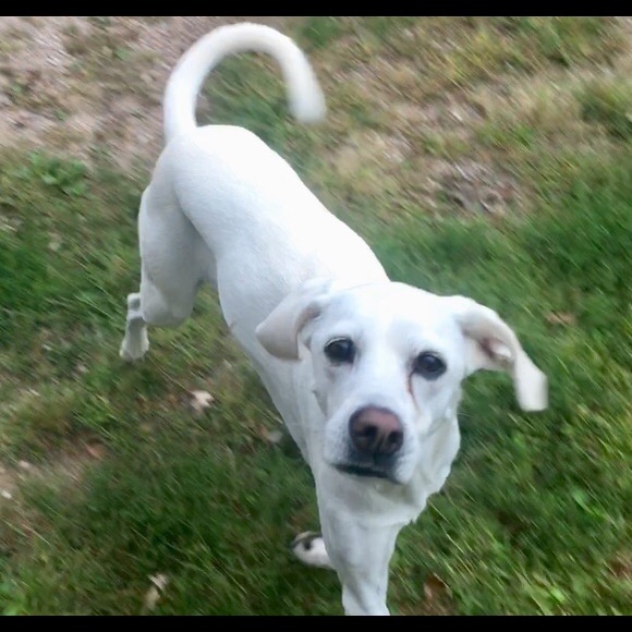 Meet your Posher, Misty - Picture 8 of 16